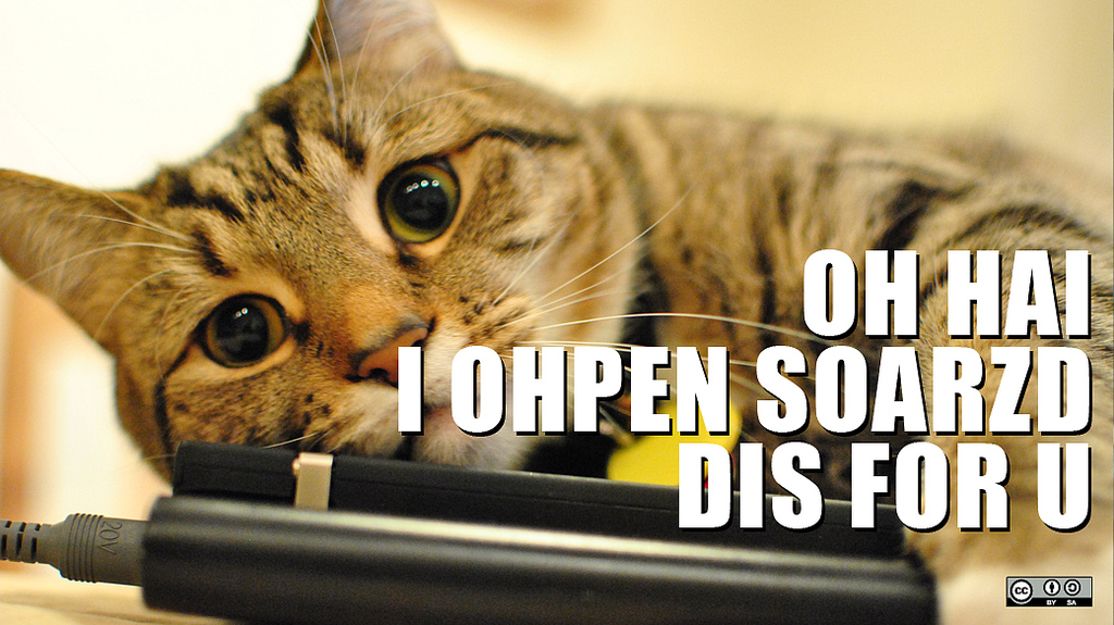 A cat on a laptop with the words "oh hey, I open sourced this for you," published as part of "3 Tips for Keeping on Top of UX Trends"
