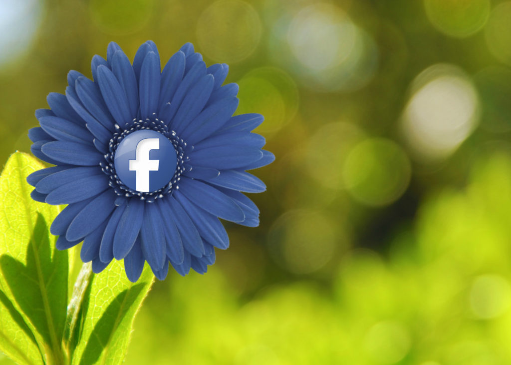 A blue flower with the Facebook icon as its center, published to "Digital Marketing Fundamentals Everyone Should Know"