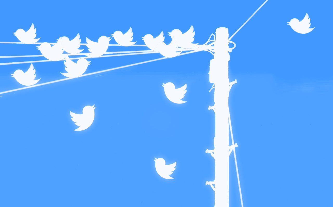 Multiple Twitter logos sitting on a telephone wire, published to: 
