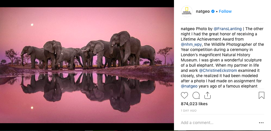 Nat Geo photo of Elephants, published to: "Non-Profit Social Media Ideas: 3 Organizations Who Are Killing It"